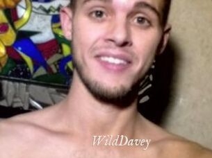 WildDavey