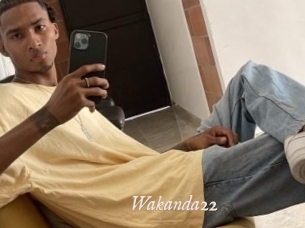 Wakanda22