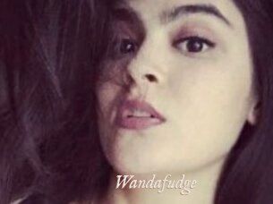 Wandafudge