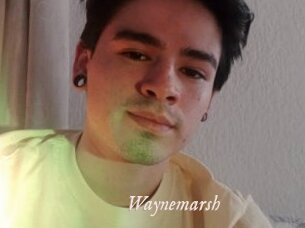 Waynemarsh