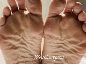 Welshbustyava
