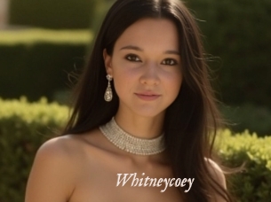 whitneycoey Chobix 