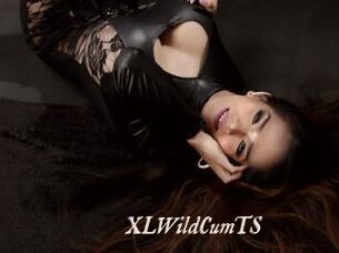 XLWildCumTS