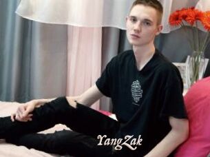 YangZak