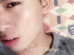 YoungWildCock4u