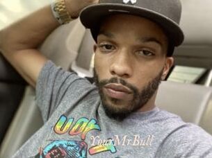 YourMrBull