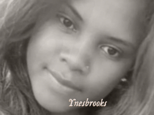Ynesbrooks
