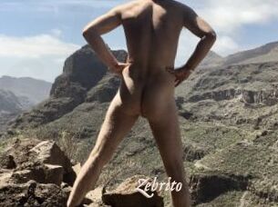 Zebrito