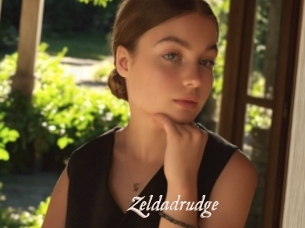Zeldadrudge