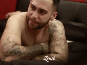 Zeusb